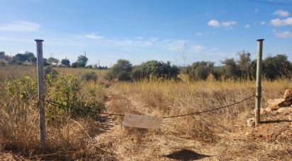 Terrain agricole à Algoz e Tunes de 26 190 m²