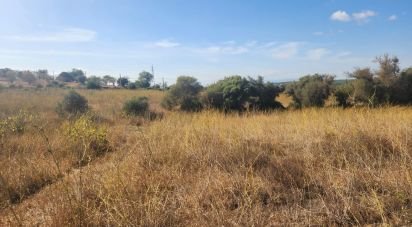 Terrain agricole à Algoz e Tunes de 26 190 m²