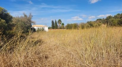 Terrain agricole à Algoz e Tunes de 26 190 m²