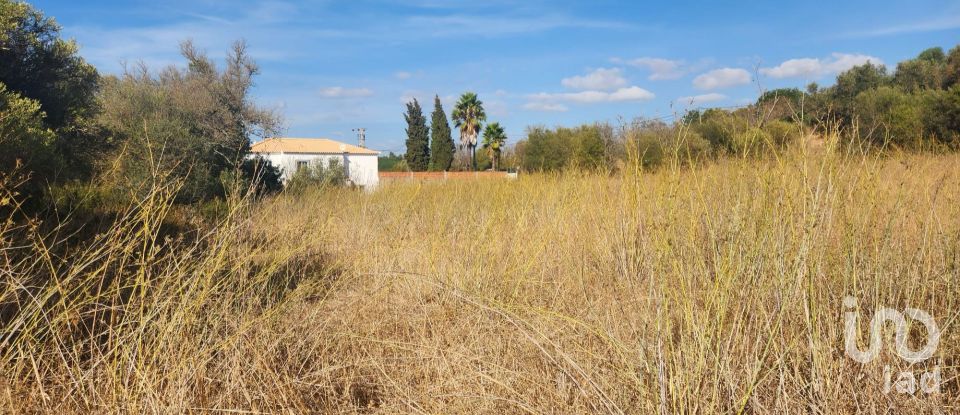 Terreno rústico em Algoz e Tunes de 26 190 m²