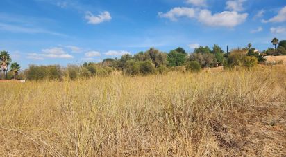 Terrain agricole à Algoz e Tunes de 26 190 m²