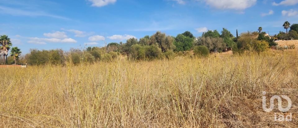Terreno rústico em Algoz e Tunes de 26 190 m²