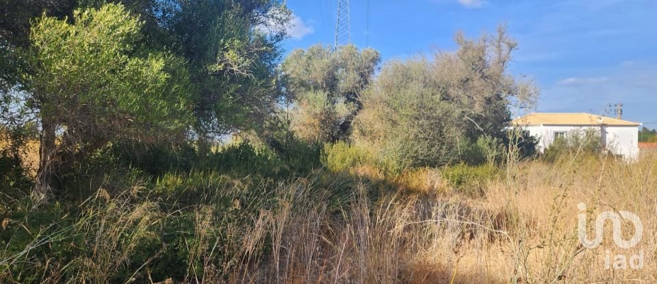Terreno rústico em Algoz e Tunes de 26 190 m²