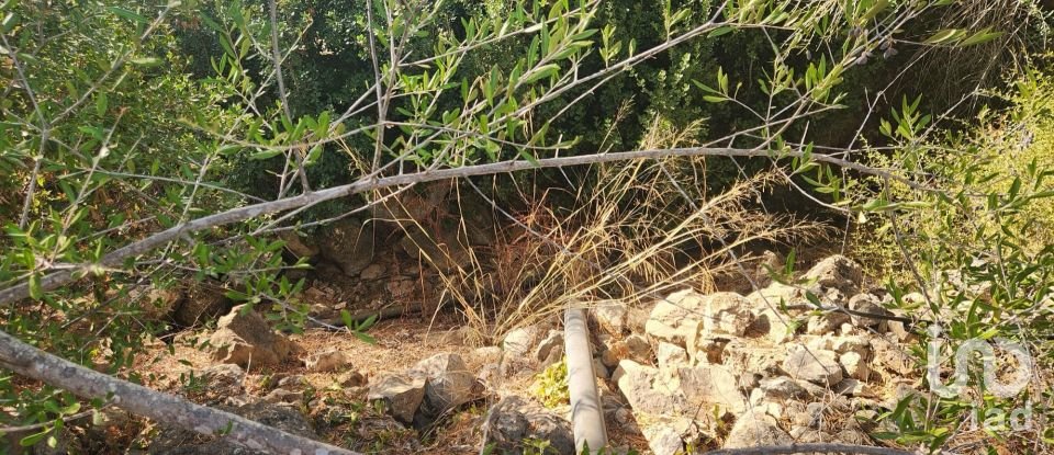 Terreno rústico em Algoz e Tunes de 26 190 m²