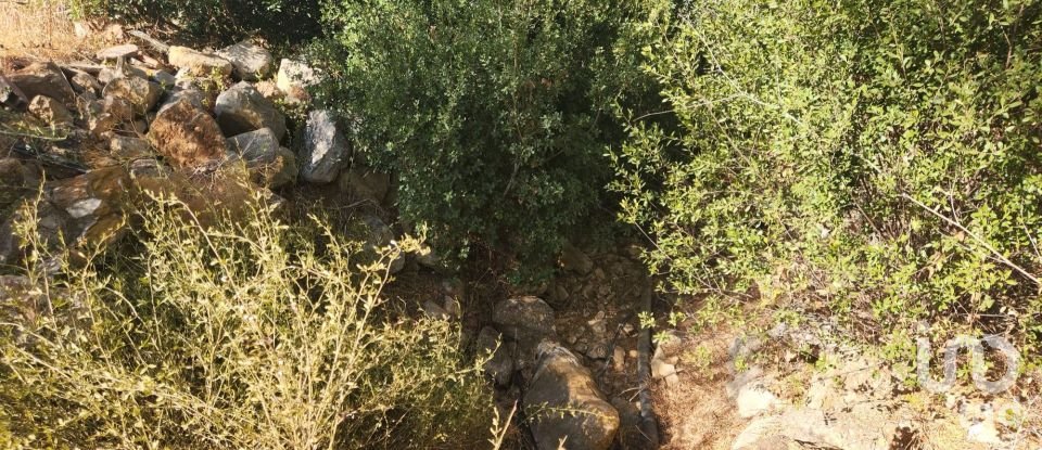 Terreno rústico em Algoz e Tunes de 26 190 m²