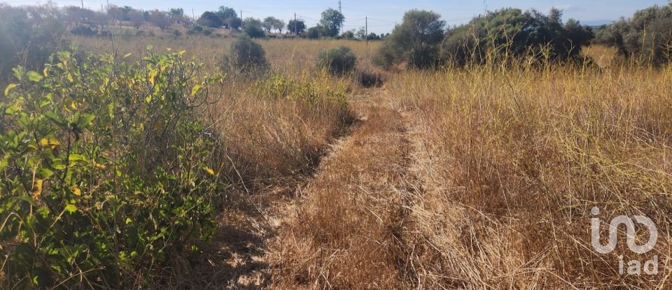 Terreno rústico em Algoz e Tunes de 26 190 m²