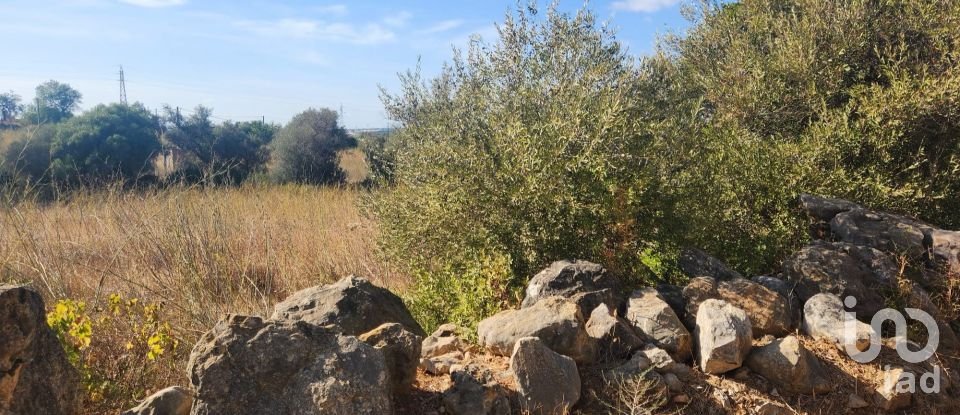 Terreno rústico em Algoz e Tunes de 26 190 m²