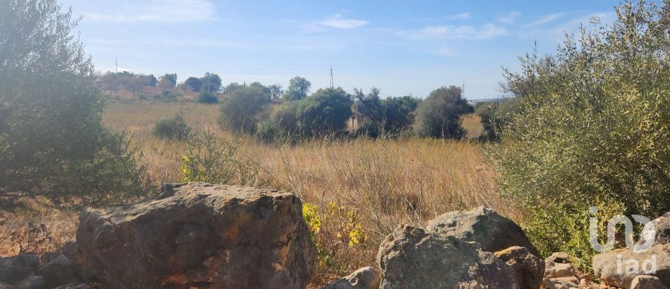 Terreno rústico em Algoz e Tunes de 26 190 m²