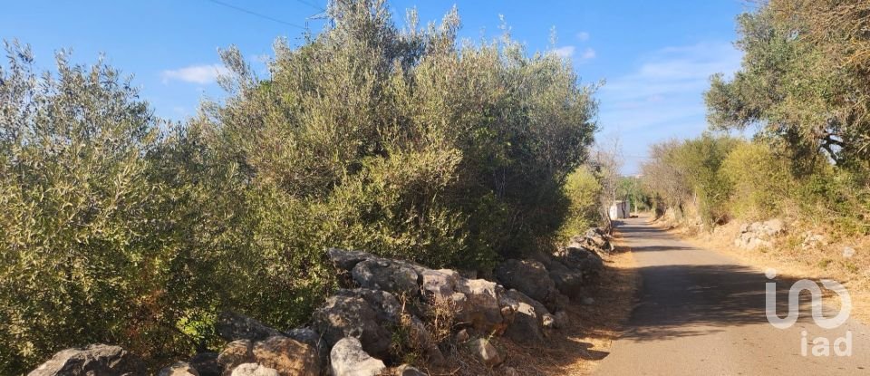 Terreno rústico em Algoz e Tunes de 26 190 m²