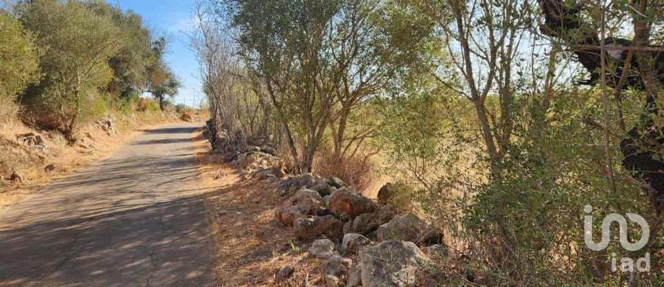 Terreno rústico em Algoz e Tunes de 26 190 m²