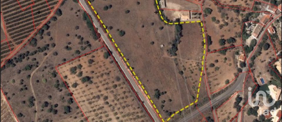 Terreno rústico em Algoz e Tunes de 26 190 m²