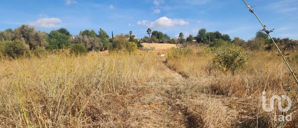 Terreno rústico em Algoz e Tunes de 26 190 m²