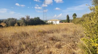 Terrain agricole à Algoz e Tunes de 26 190 m²