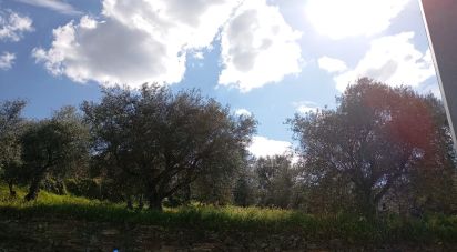 Terrain à Torre de Moncorvo de 3 024 m²