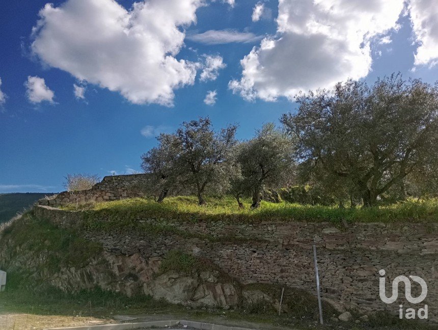 Terrain à Torre de Moncorvo de 3 024 m²