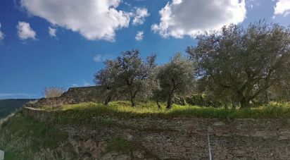 Terrain à Torre de Moncorvo de 3 024 m²