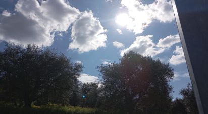 Terrain à Torre de Moncorvo de 3 024 m²