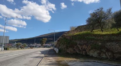 Terrain à Torre de Moncorvo de 3 024 m²