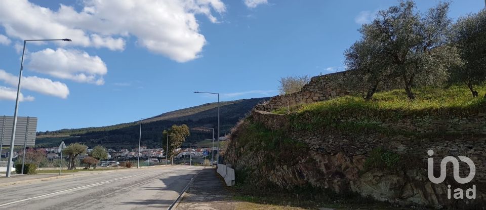 Terrain à Torre de Moncorvo de 3 024 m²