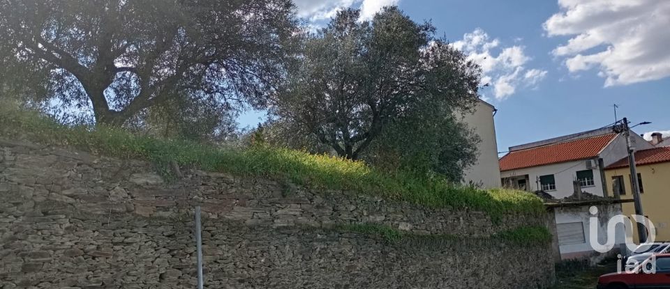 Terrain à Torre de Moncorvo de 3 024 m²