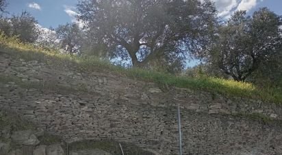 Terrain à Torre de Moncorvo de 3 024 m²