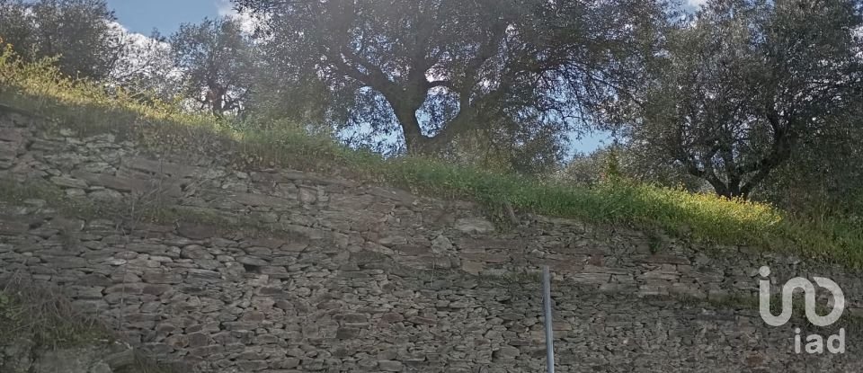 Terrain à Torre de Moncorvo de 3 024 m²