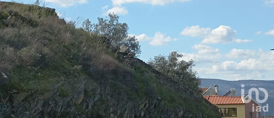 Terrain à Torre de Moncorvo de 3 024 m²