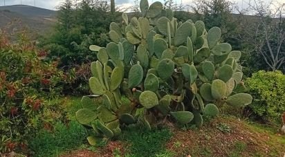 Maison T4 à Lagoaça e Fornos de 136 m²