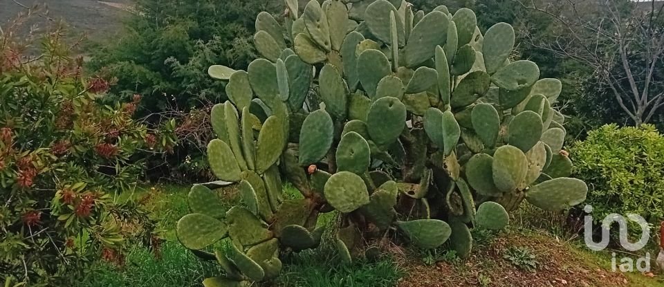 Moradia T4 em Lagoaça e Fornos de 136 m²