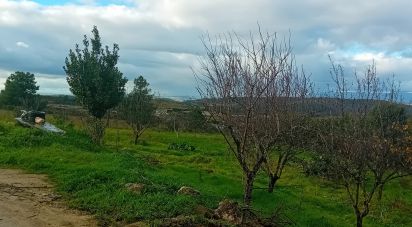 Maison T4 à Lagoaça e Fornos de 136 m²