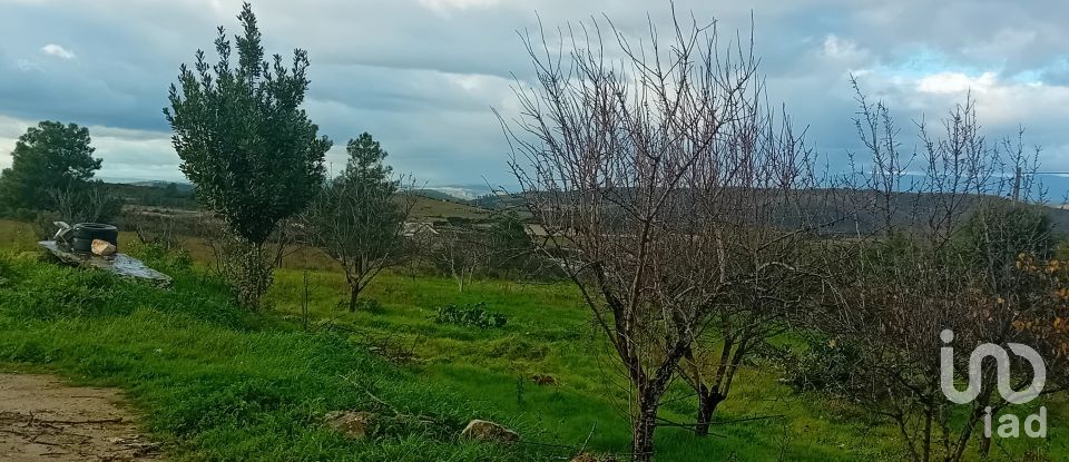 Moradia T4 em Lagoaça e Fornos de 136 m²