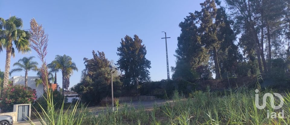 Terrain à bâtir à Portimão de 440 m²