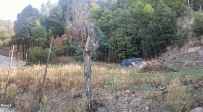 Terrain à bâtir à Luzim e Vila Cova de 3 630 m²