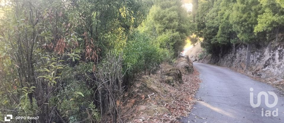 Terreno urbano em Luzim e Vila Cova de 3 630 m²