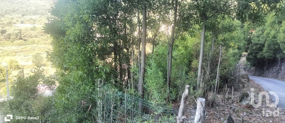 Terreno urbano em Luzim e Vila Cova de 3 630 m²