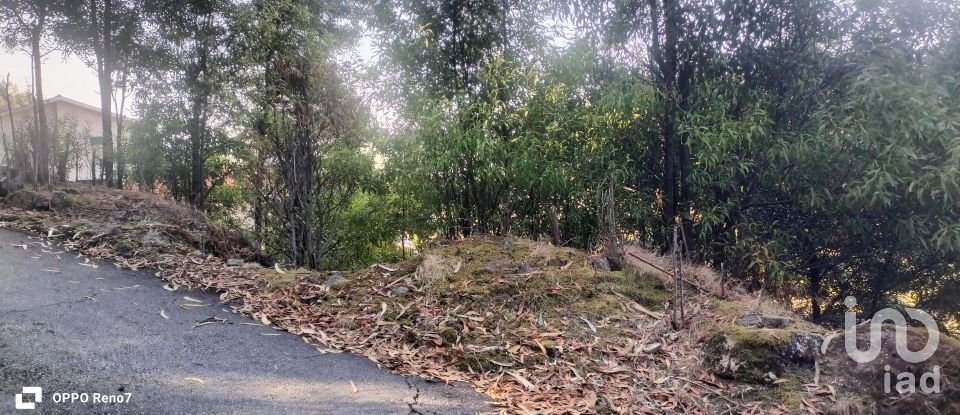 Terreno urbano em Luzim e Vila Cova de 3 630 m²