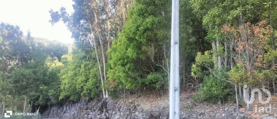 Terreno urbano em Luzim e Vila Cova de 3 630 m²