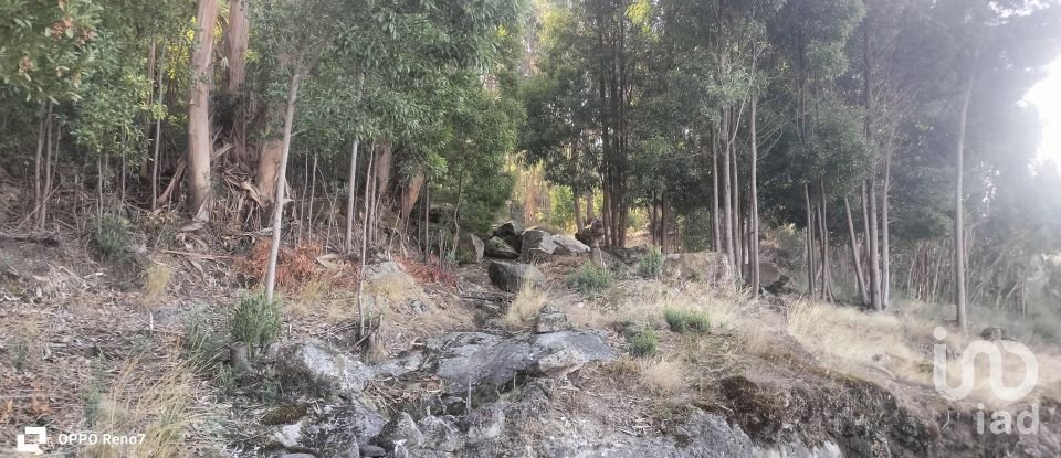 Terreno urbano em Luzim e Vila Cova de 3 630 m²