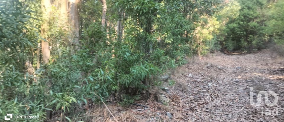 Terreno urbano em Luzim e Vila Cova de 3 630 m²