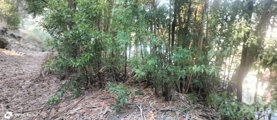 Terreno urbano em Luzim e Vila Cova de 3 630 m²