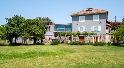 Farm T7 in Cambeses of 593 m²