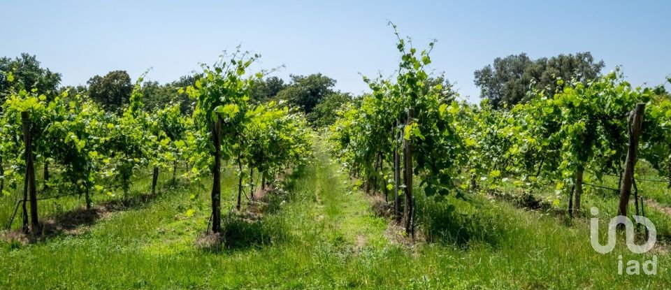 Quinta T7 em Cambeses de 593 m²