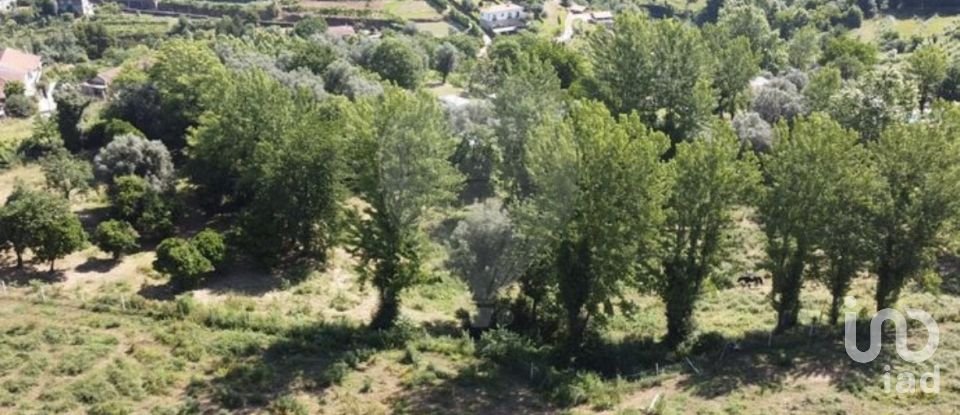 Casa de Campo T4 em Arco de Baúlhe e Vila Nune de 200 m²