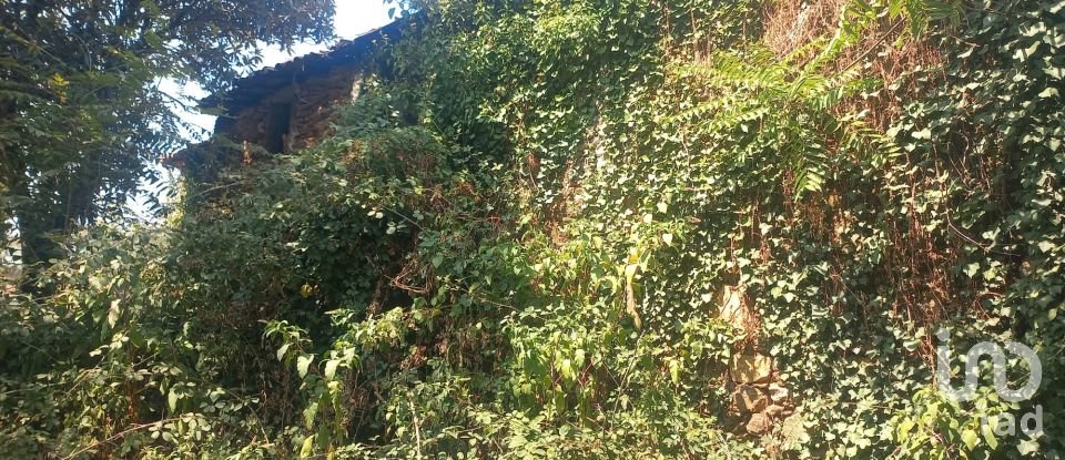 Casa de Campo T4 em Arco de Baúlhe e Vila Nune de 200 m²