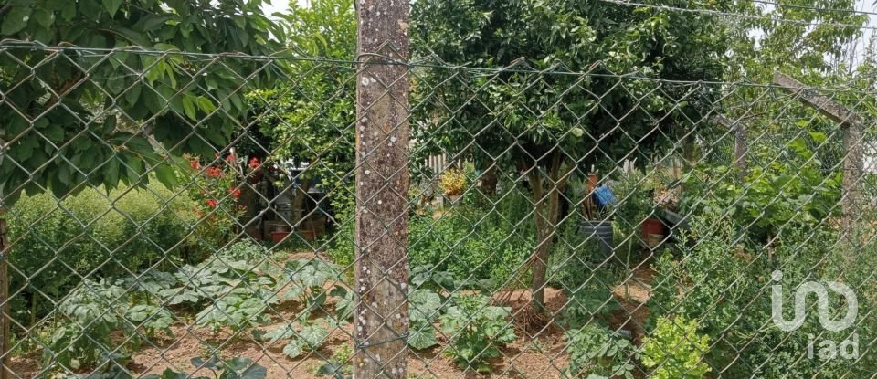 Maison de village T2 à Santo Aleixo de 84 m²