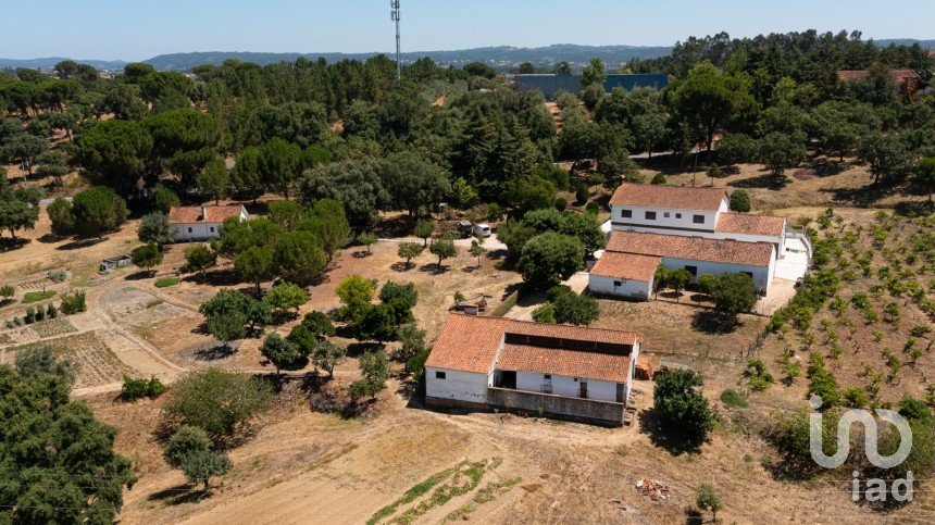 Maison T4 à Tomar (São João Baptista) e Santa Maria dos Olivais de 738 m²