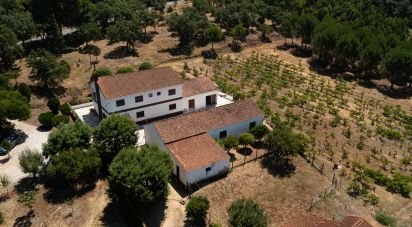 Maison T4 à Tomar (São João Baptista) e Santa Maria dos Olivais de 738 m²