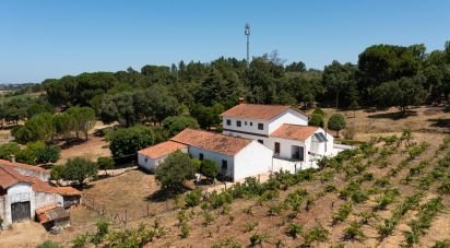 Maison T4 à Tomar (São João Baptista) e Santa Maria dos Olivais de 738 m²