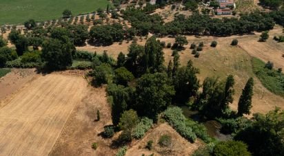 Maison T4 à Tomar (São João Baptista) e Santa Maria dos Olivais de 738 m²