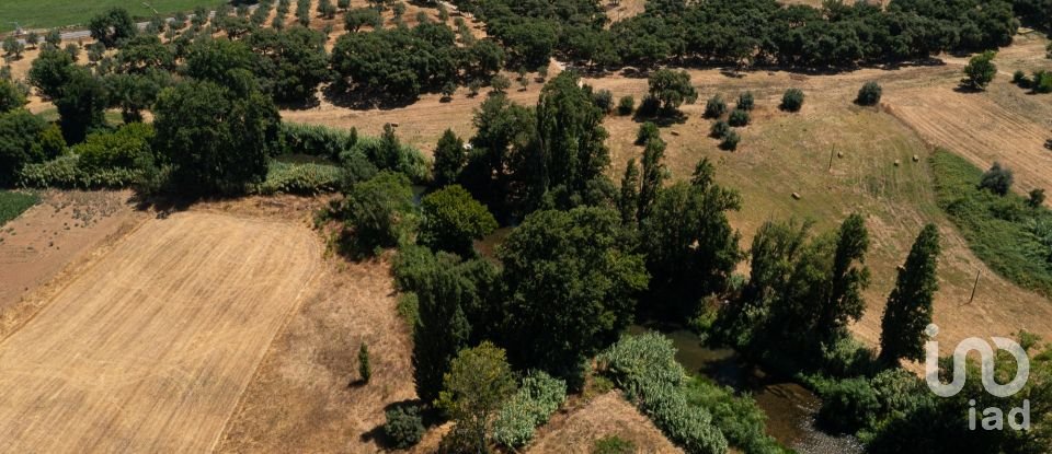 Maison T4 à Tomar (São João Baptista) e Santa Maria dos Olivais de 738 m²